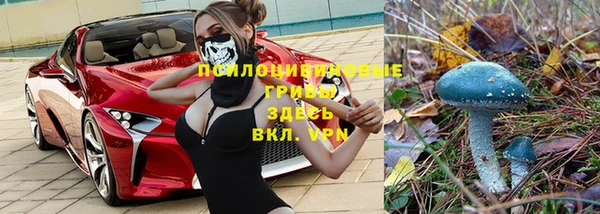 дживик Беломорск