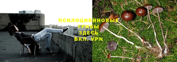 трава Белоозёрский
