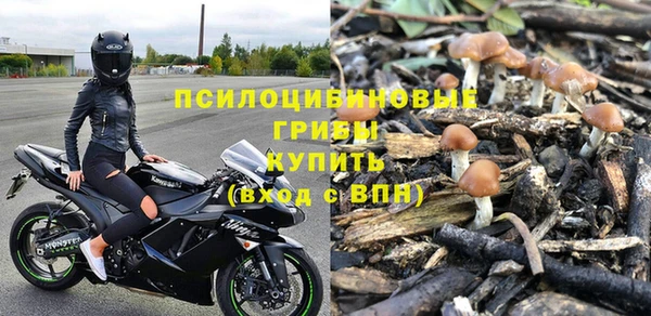 дживик Беломорск