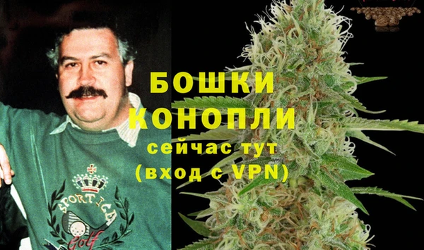 тгк Белокуриха